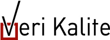 Veri Kalite Logo